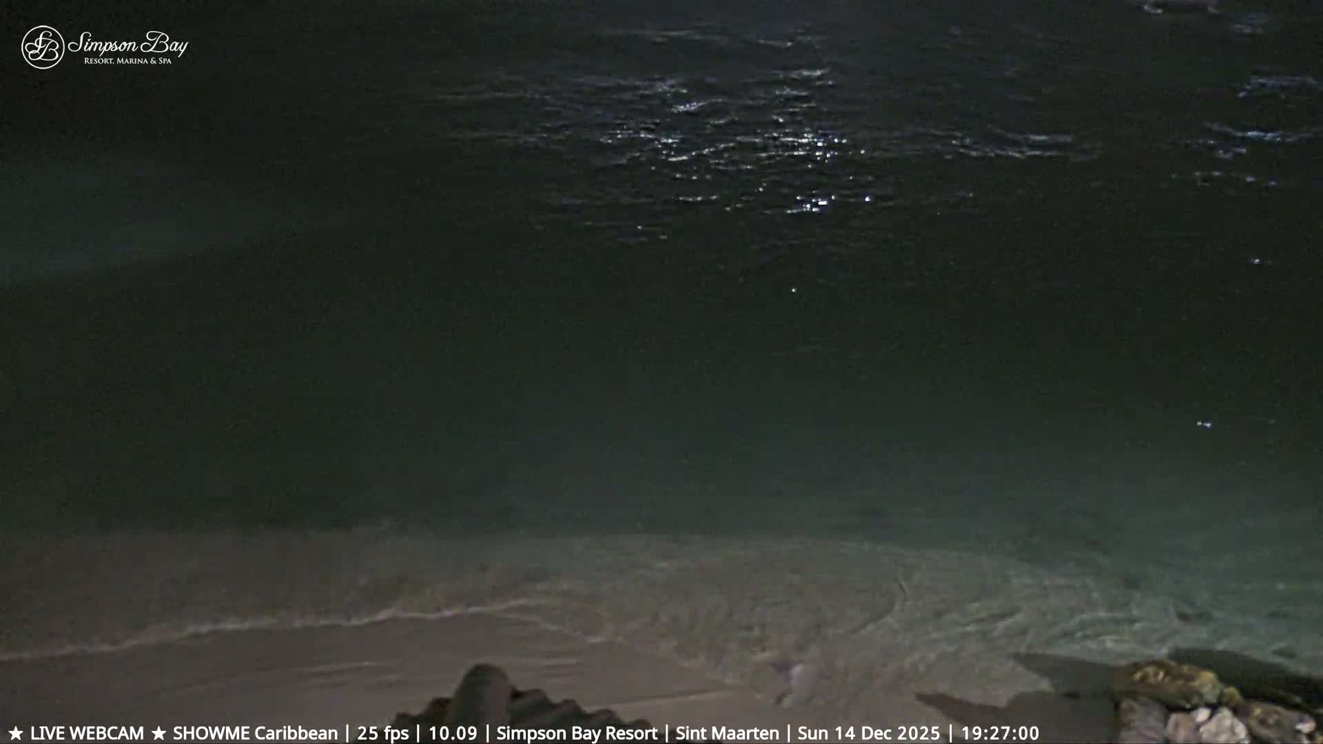 On a clear night, a brightly lit beach bar and straw umbrellas line the sand next to a palm tree and a rocky breakwater, with two illuminated ships visible on the dark ocean.