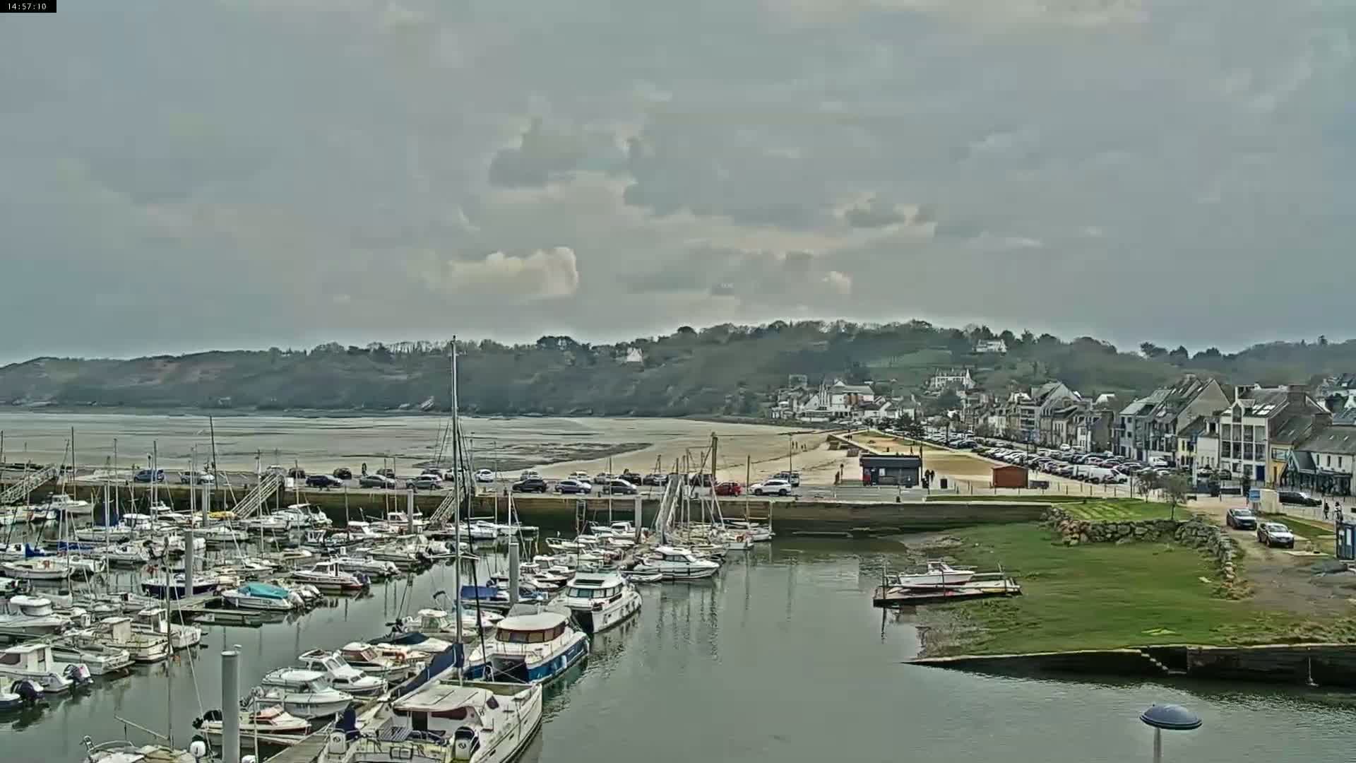 A marina filled with numerous boats is situated next to a town on a coast under a cloudy sky.