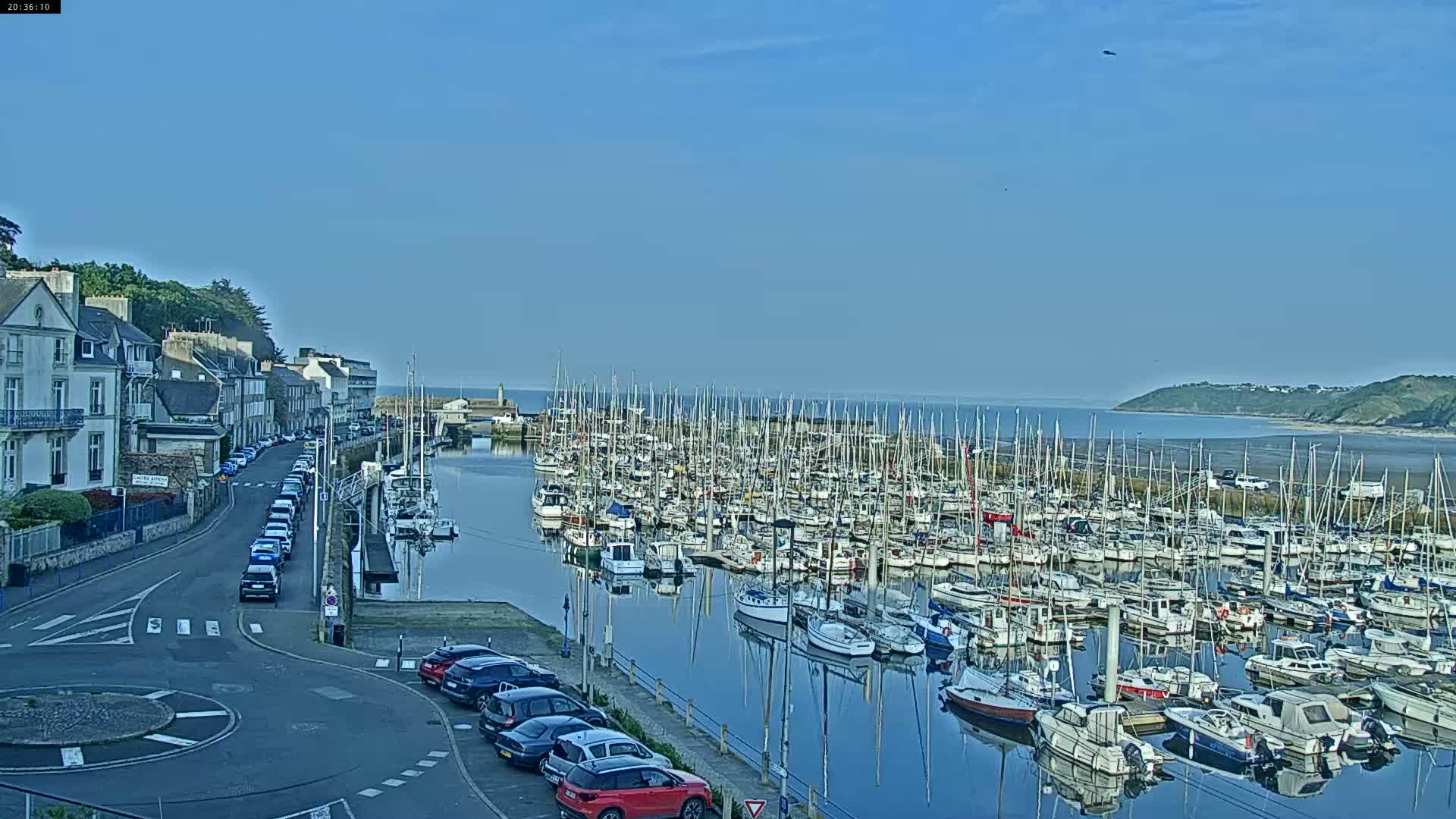 A marina filled with numerous sailboats is situated next to a town, under a clear blue sky.