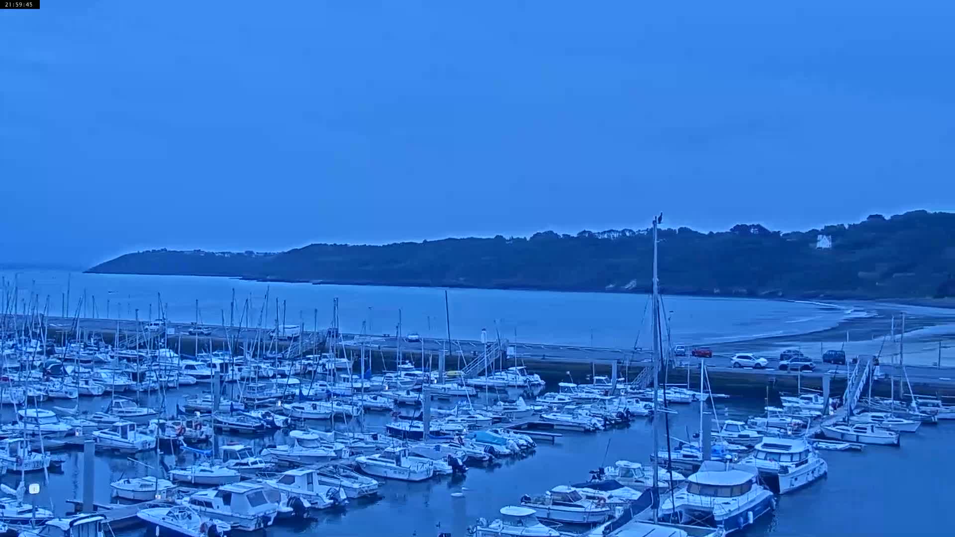 Many sailboats are docked in a marina, with a calm body of water and a tree-lined shore visible in the background under a twilight sky.