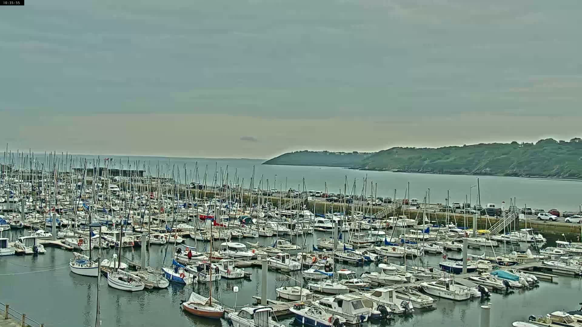 A large marina filled with numerous sailboats and motorboats is situated on calm water under an overcast sky.