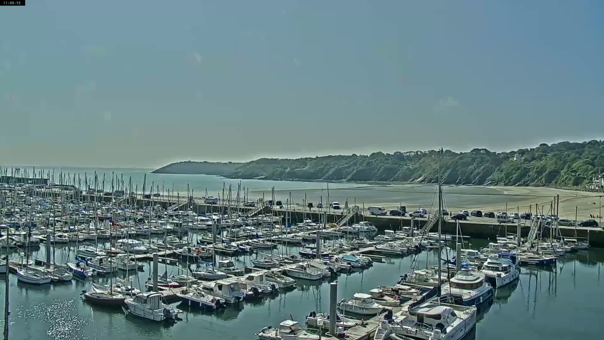 A marina filled with numerous boats is situated next to a sandy beach and a verdant hillside under a clear, sunny sky.