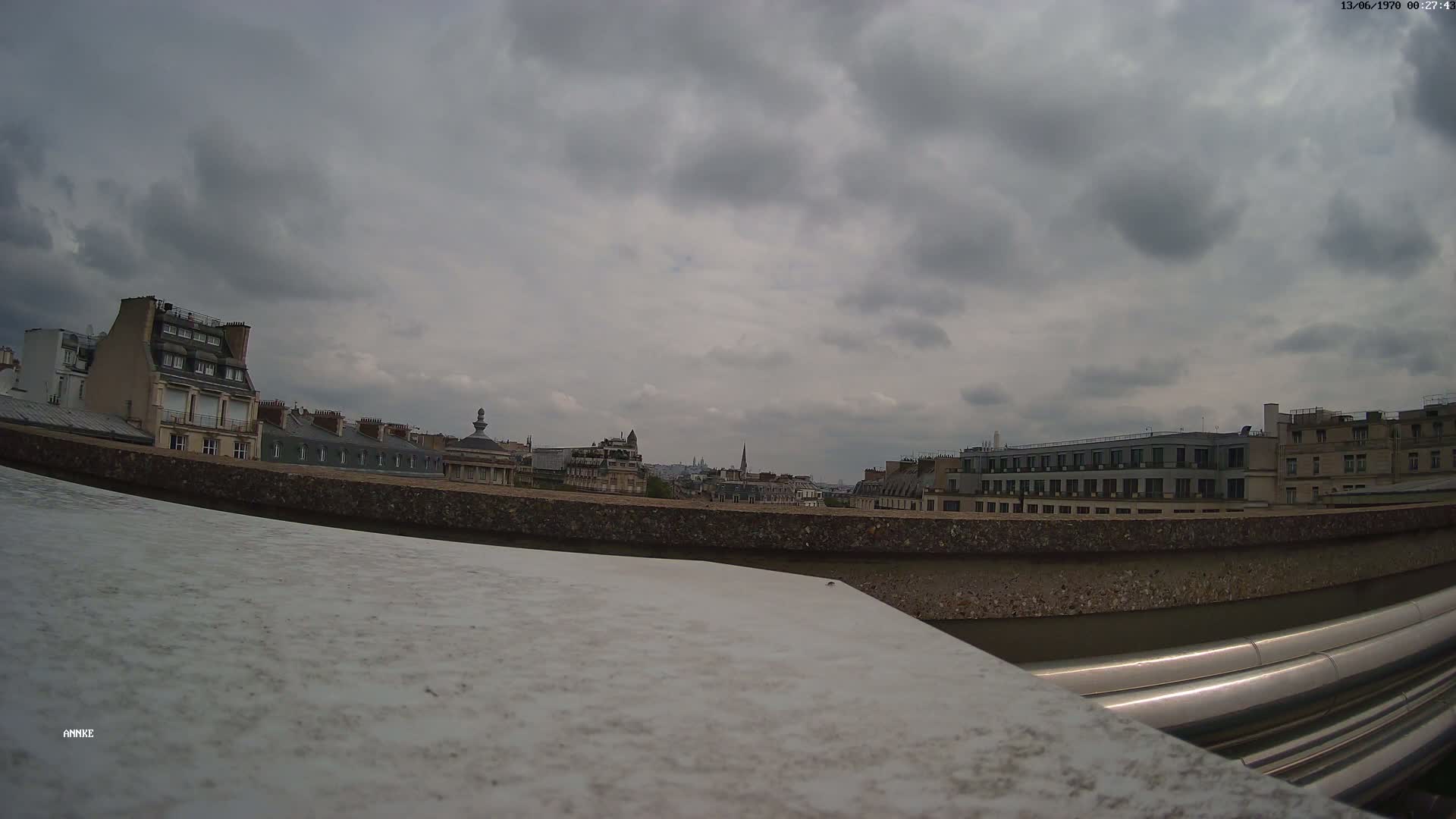 A cityscape of Parisian buildings is viewed from a rooftop under an overcast sky.