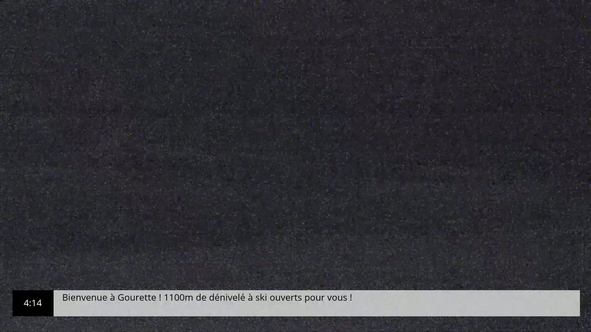 The image shows a dark, grainy screen with static.