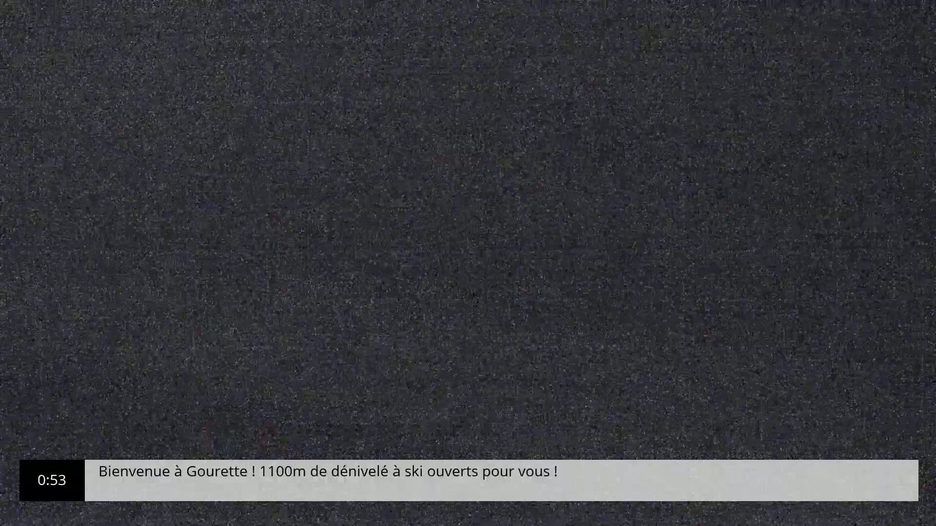The image shows a screen filled with static.