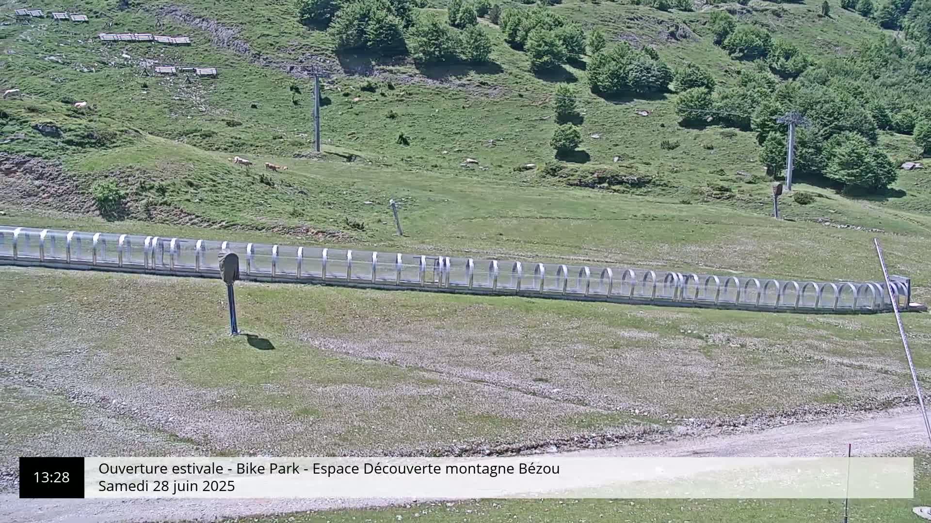 A long, covered track extends across a grassy hillside with a few scattered cows and a chairlift in the background, under sunny conditions.