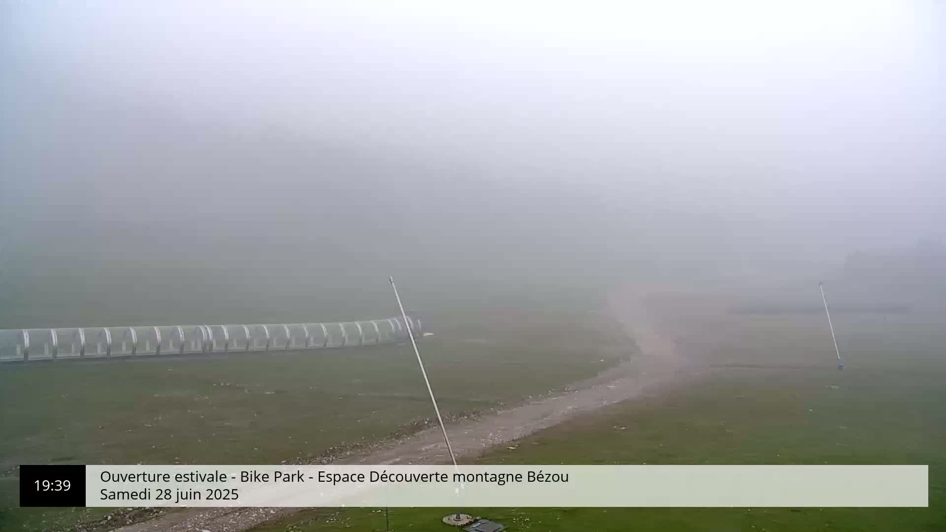 A foggy landscape shows a flat, grassy area extending to a line of trees obscured by heavy fog.