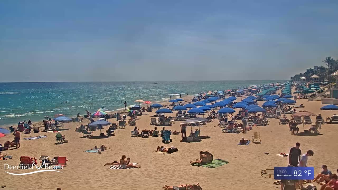 A sunny beach scene shows many people relaxing under numerous blue beach umbrellas on a sandy beach next to a blue ocean with small waves.