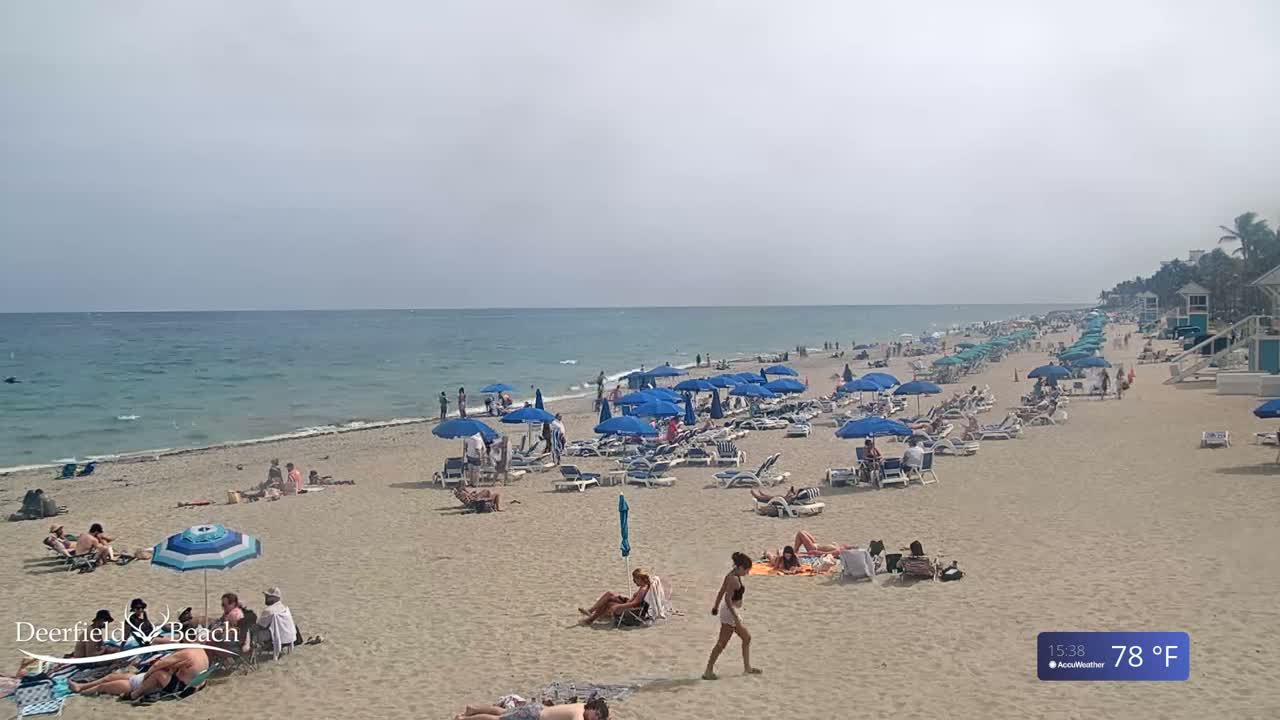 A sandy beach with many people under blue umbrellas and lounge chairs, facing a calm ocean under a hazy sky.