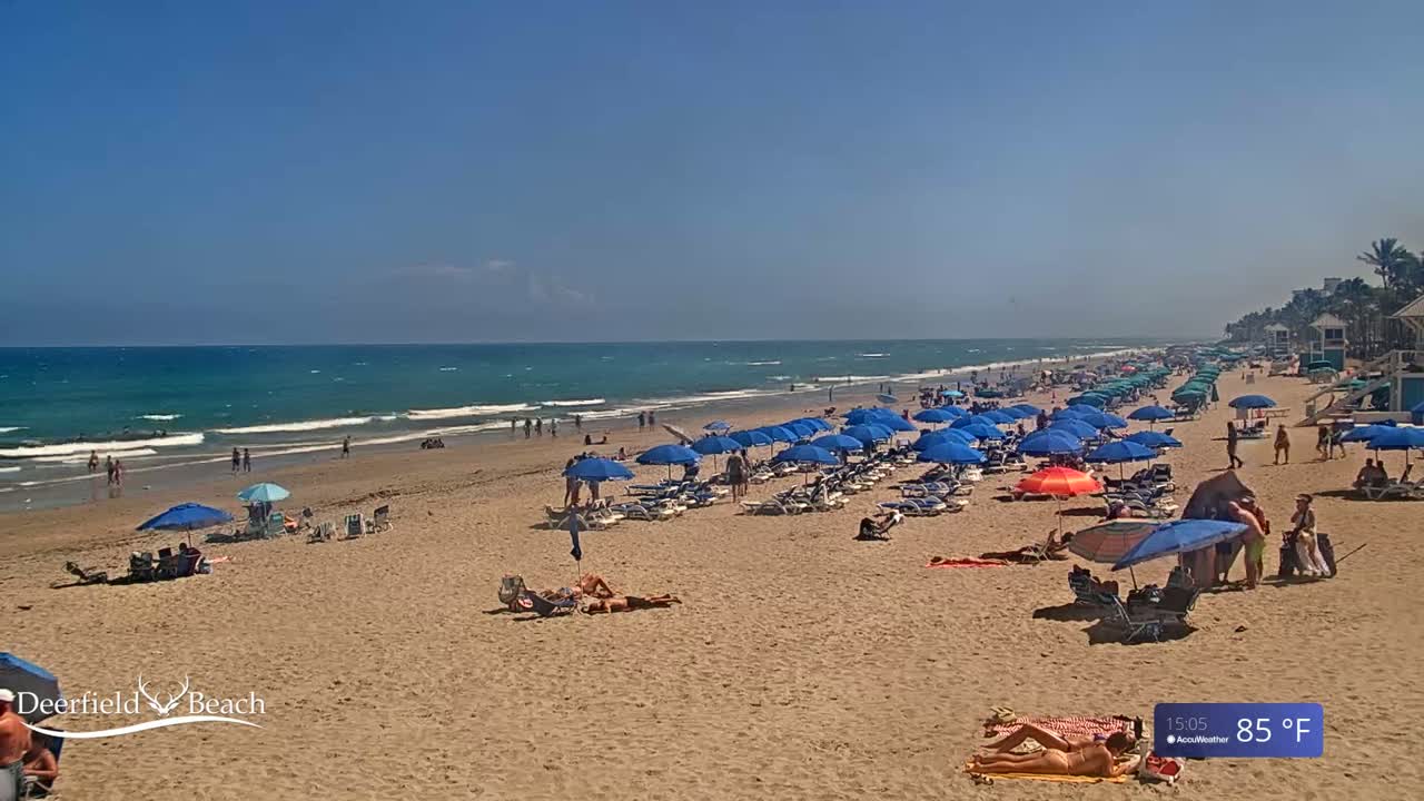 A sunny beach scene shows many people relaxing under blue umbrellas on a sandy beach with a blue ocean and small waves under a clear blue sky.