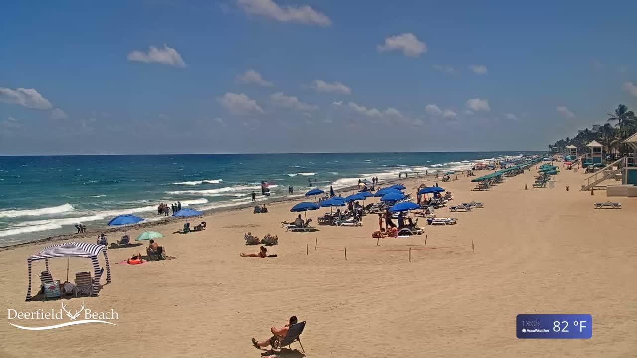 A sunny beach with moderate waves, numerous blue umbrellas, and people enjoying the 82°F weather.