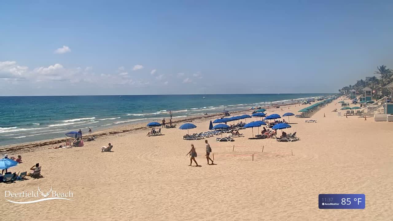 A sandy beach with blue umbrellas and lounge chairs stretches along a calm, blue ocean under a bright, sunny sky.