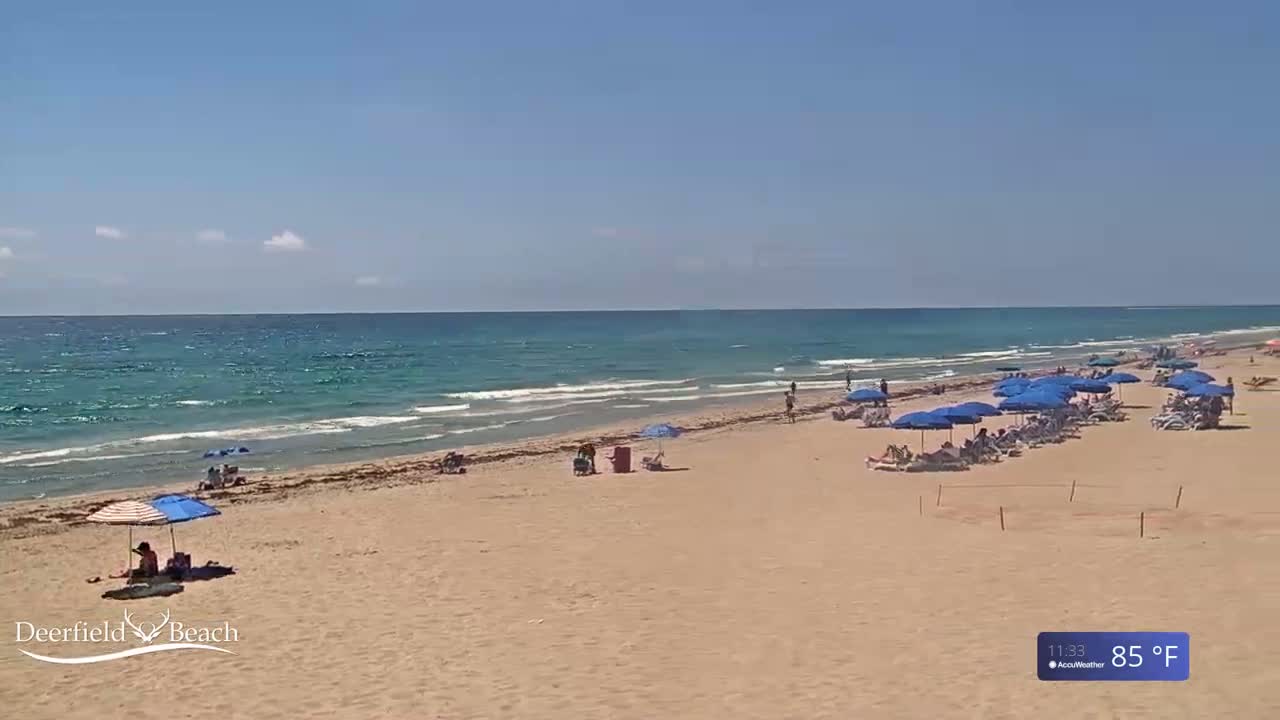 A sandy beach with numerous blue umbrellas and beach chairs is shown under a sunny sky with light clouds, and a calm ocean with small waves rolls gently ashore.