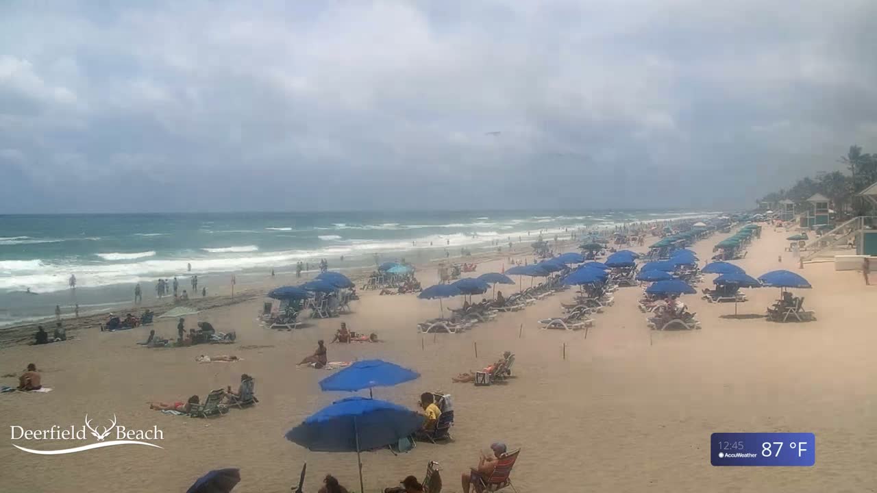 A sandy beach with numerous blue umbrellas and beach chairs, populated with people, under a partly cloudy sky, with a somewhat choppy ocean in the background.