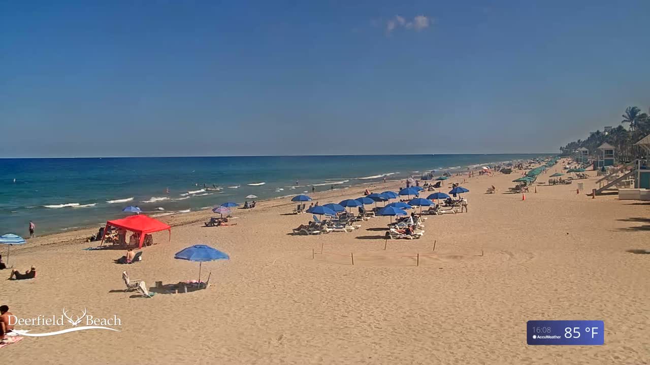 A sunny beach with blue umbrellas and people relaxing on the sand, under a clear blue sky, and a calm ocean with small waves.