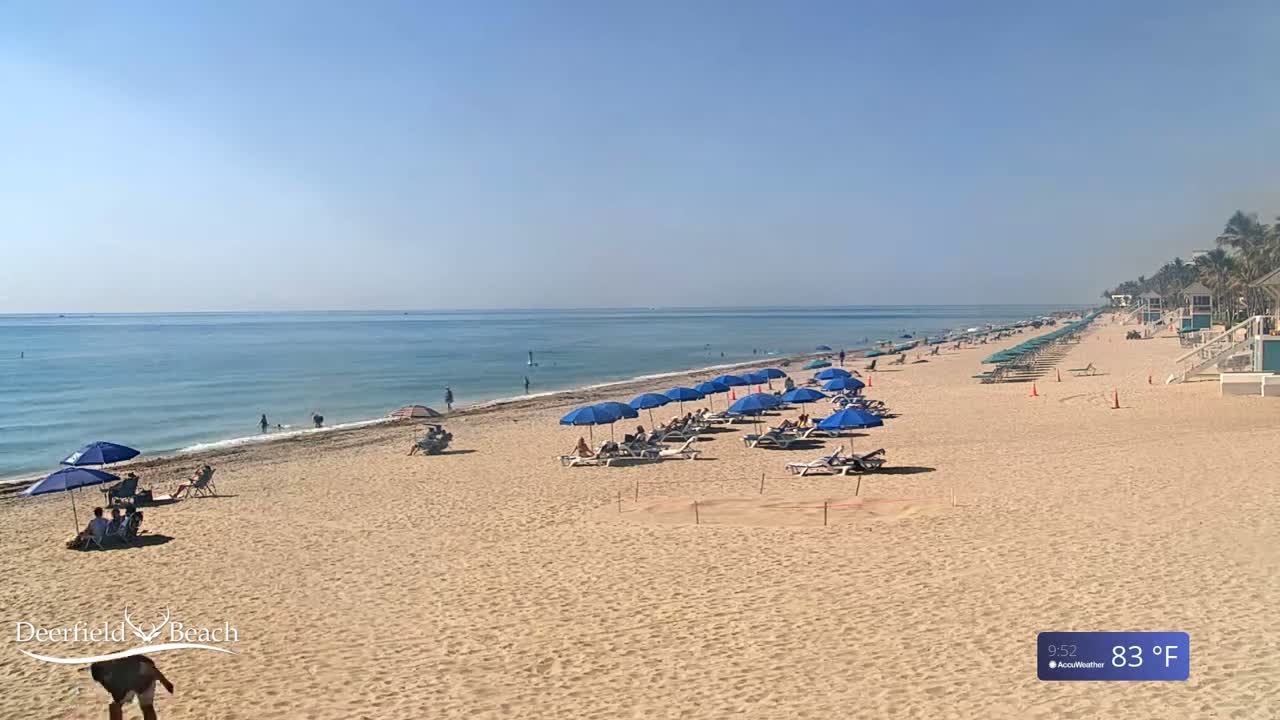 A sandy beach with blue umbrellas and lounge chairs under a clear blue sky, and calm ocean water.