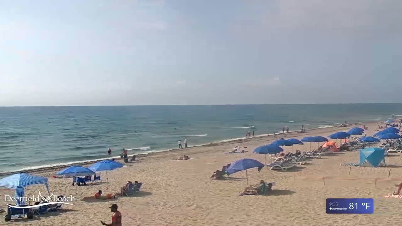 A sandy beach with calm ocean waves and numerous blue umbrellas and beach chairs under a mostly clear sky.