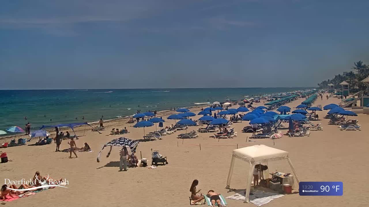 A sunny beach scene shows a sandy shore lined with numerous blue umbrellas and beachgoers under a clear blue sky, with a calm ocean in the background.