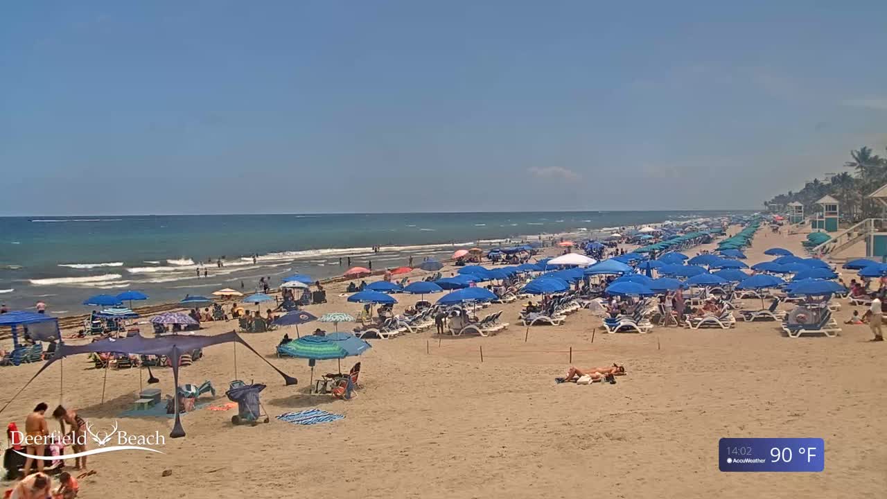A sandy beach with numerous blue umbrellas and beach chairs under a clear, sunny sky, and a calm ocean with small waves in the background.