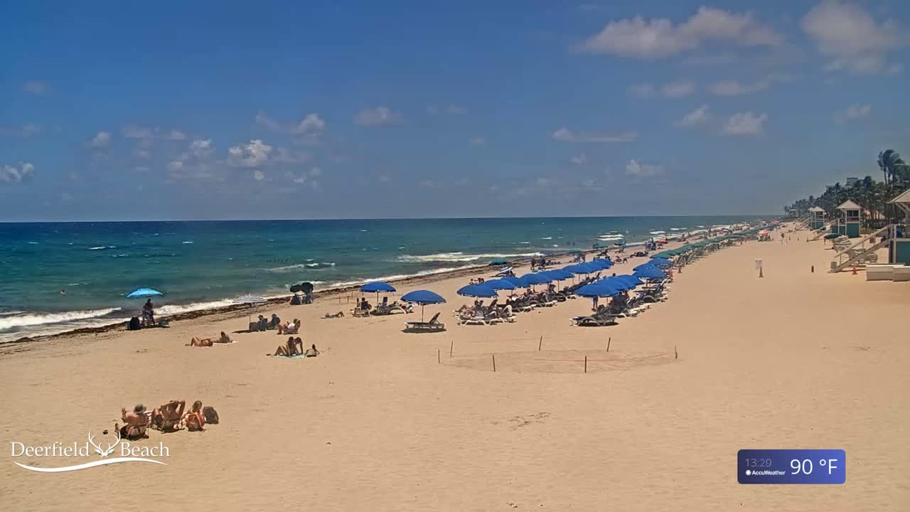 A sandy beach with numerous blue umbrellas and beachgoers under a sunny sky, with a somewhat wavy ocean in the background.