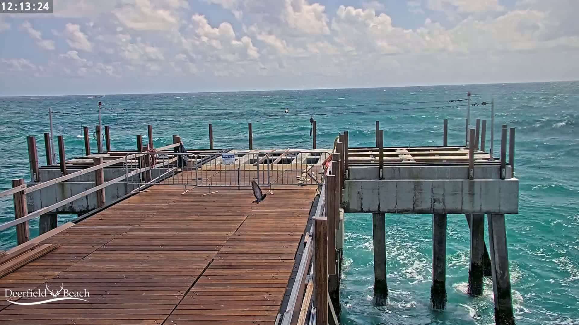 A bird flies over a partially constructed wooden pier extending into a teal ocean with small waves under a partly cloudy sky.