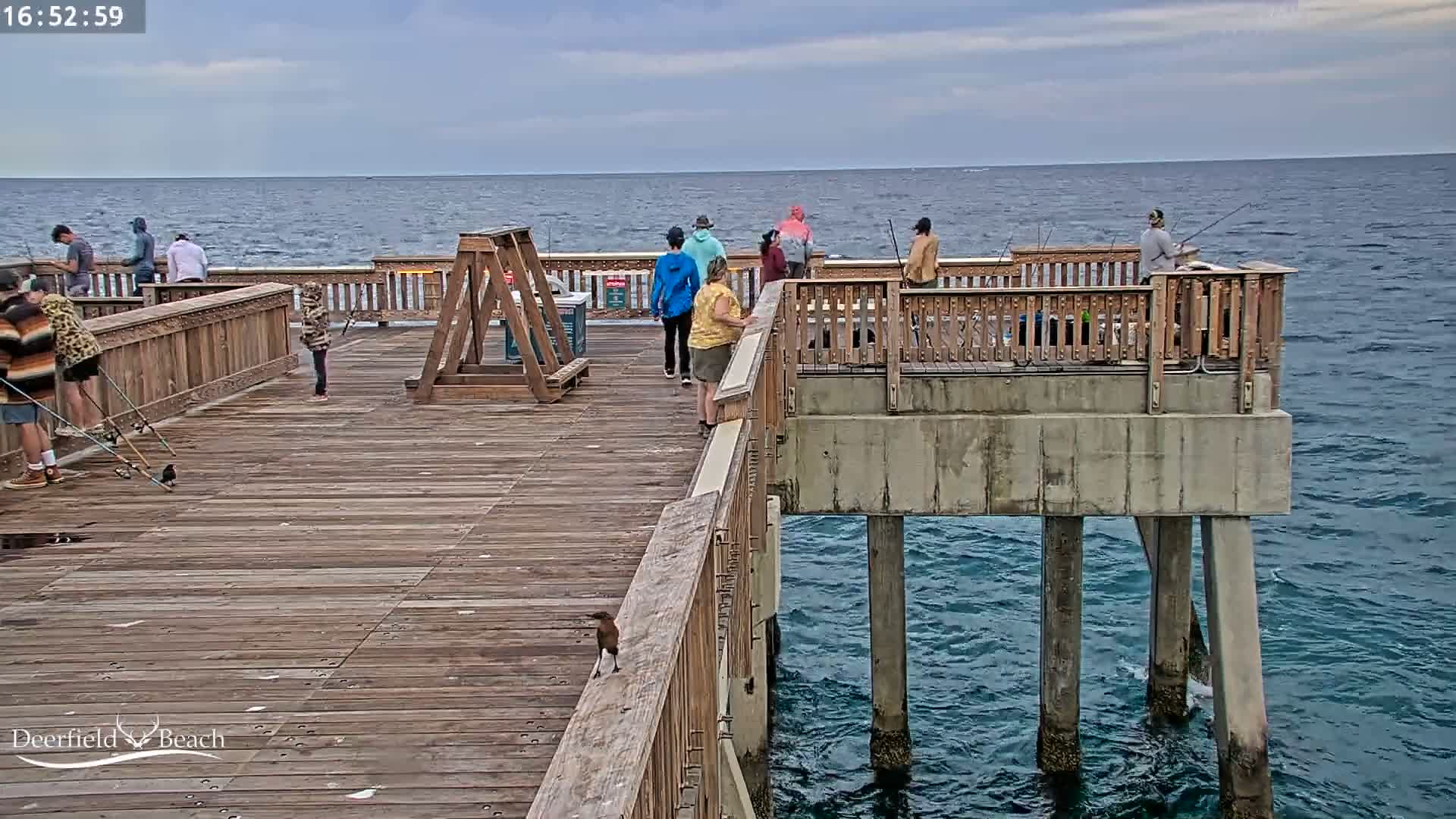 Deerfield Beach City Fishing Pier Live Cam - Deerfield Beach, Broward, Florida, USA