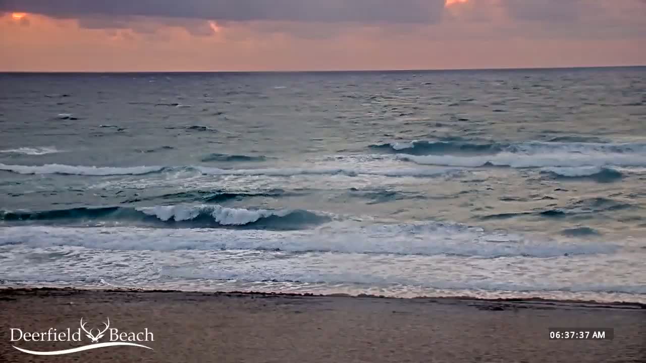 Under a pinkish-gray sunrise sky, moderate waves roll onto a sandy beach.