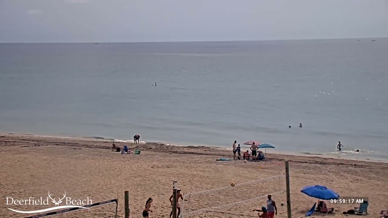 A sandy beach with a calm ocean under a hazy sky features several people swimming, sunbathing, and playing volleyball.