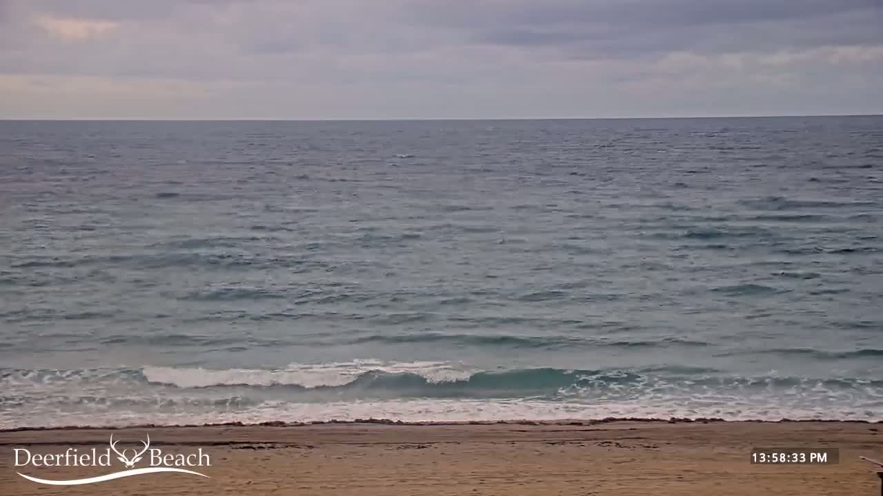 Under an overcast sky, small waves lap a sandy beach.