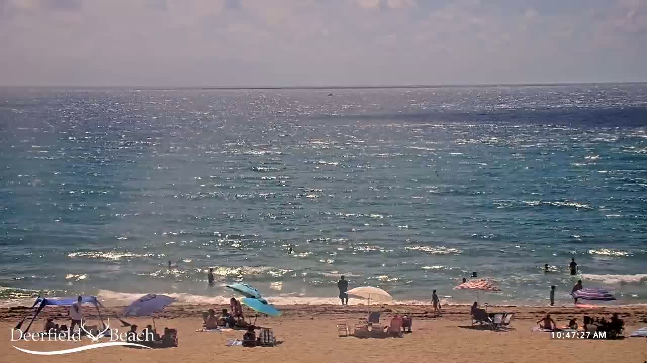 A sandy beach with people swimming and relaxing under umbrellas on a sunny day with a somewhat choppy ocean.
