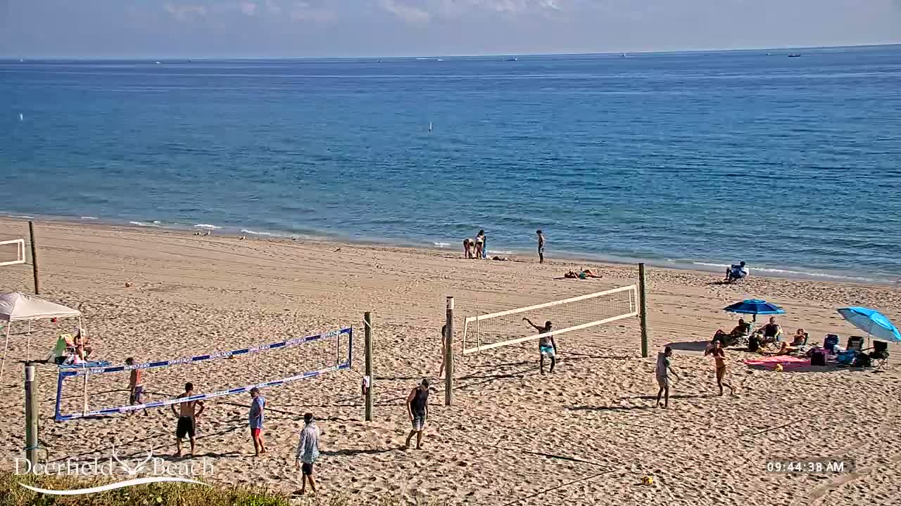 Under a clear, sunny sky, people play beach volleyball and relax on the sandy shore by the calm blue ocean.