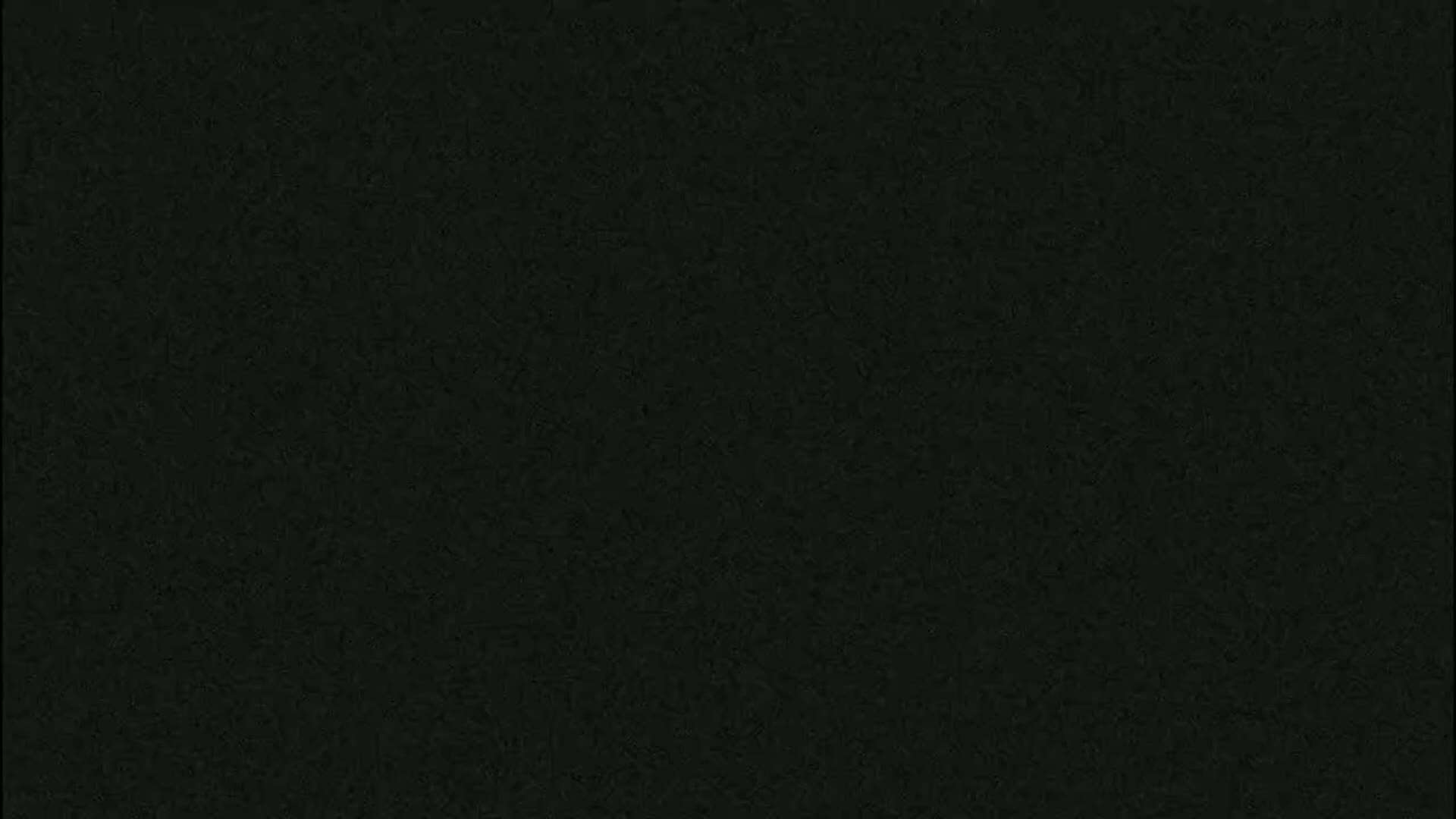 The image is a uniformly dark gray-black textured surface.