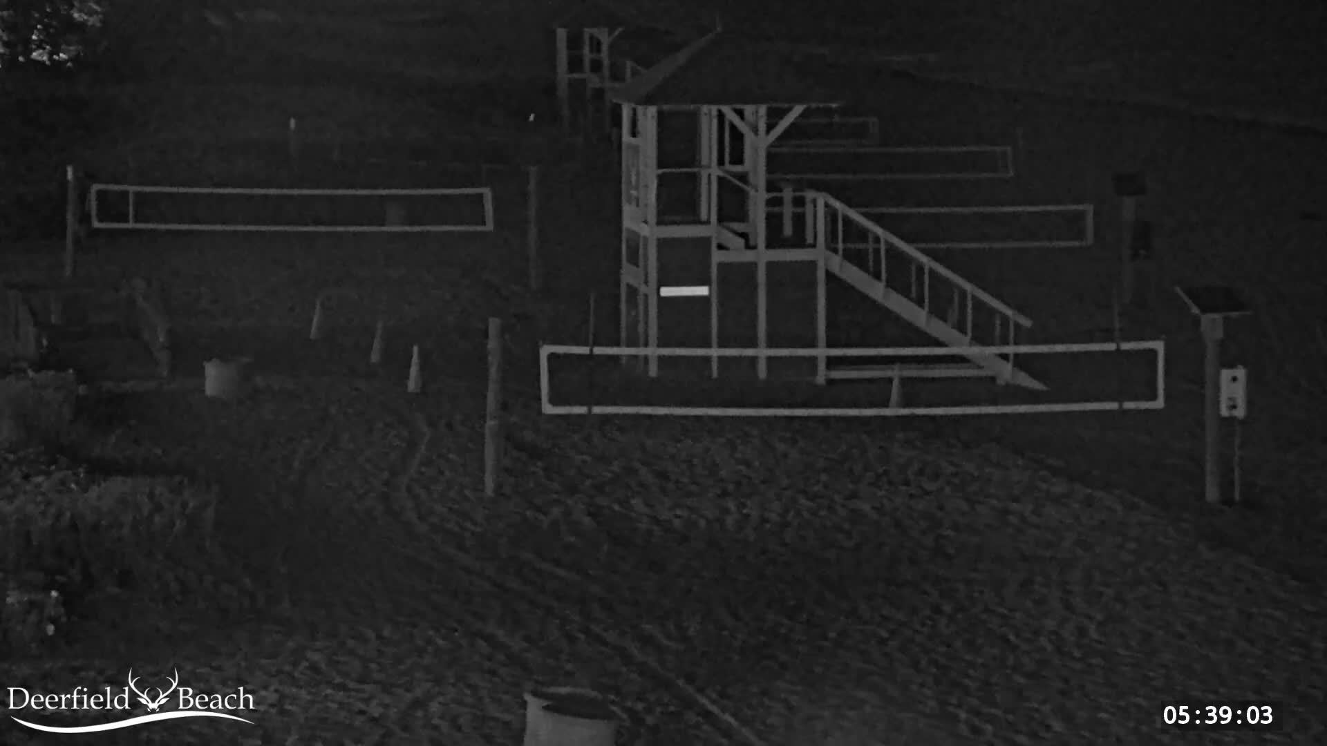 The image shows a dark, uniformly textured surface.