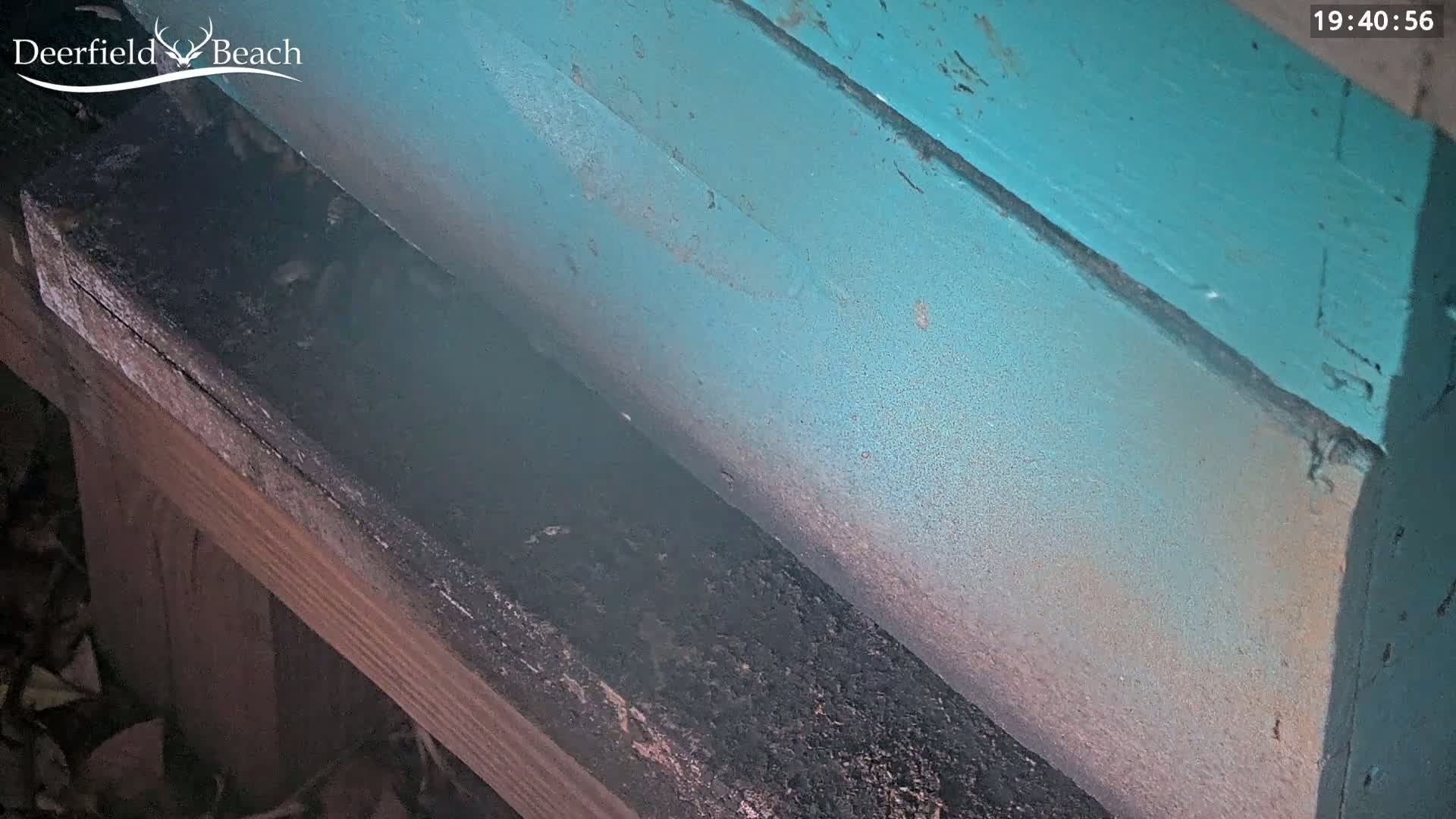 A teal-painted beehive sits on a dark wooden structure at night.