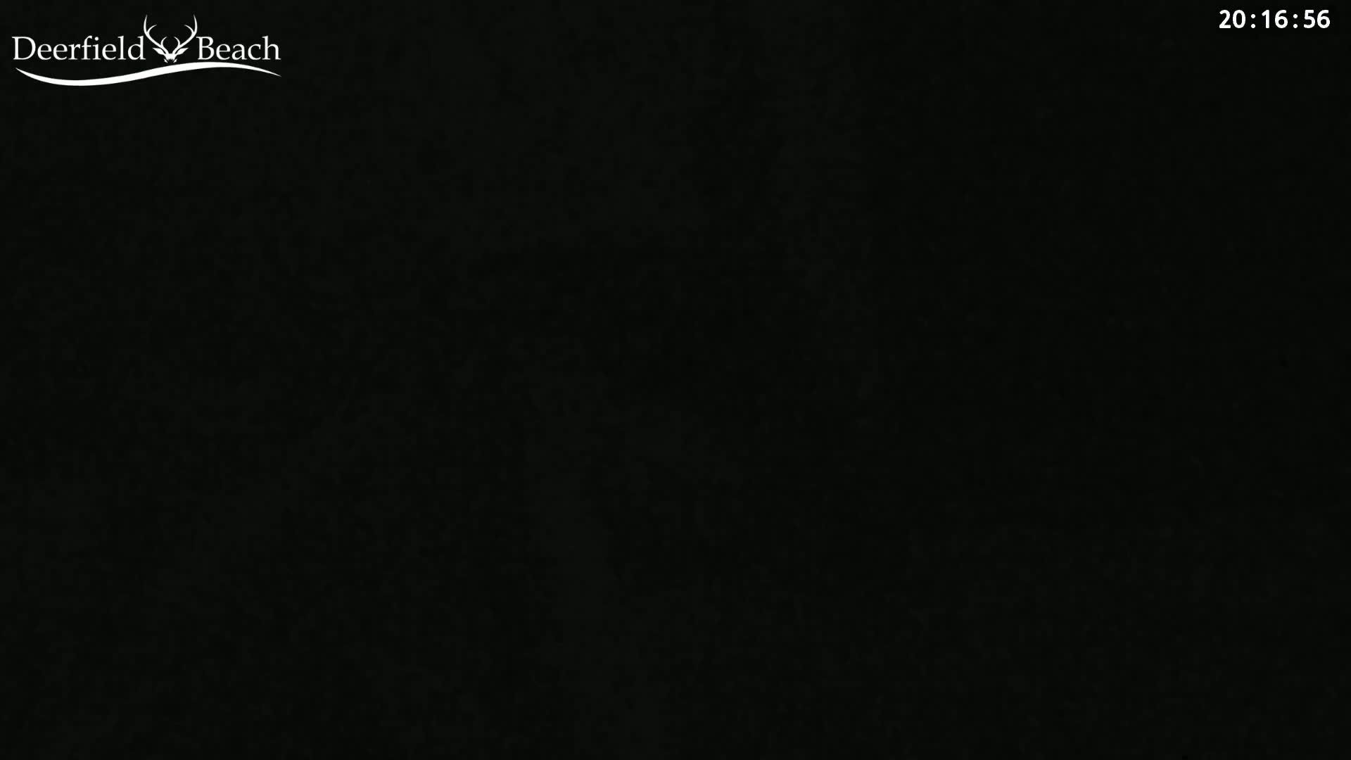 The image is a completely black screen with a grainy texture.