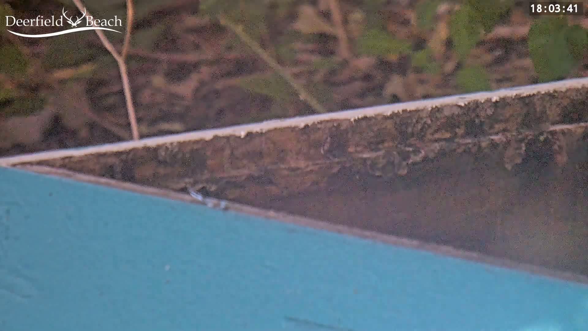 A close-up shows the edge of a teal painted structure with a dark, weathered underside, outdoors in what appears to be soft light.