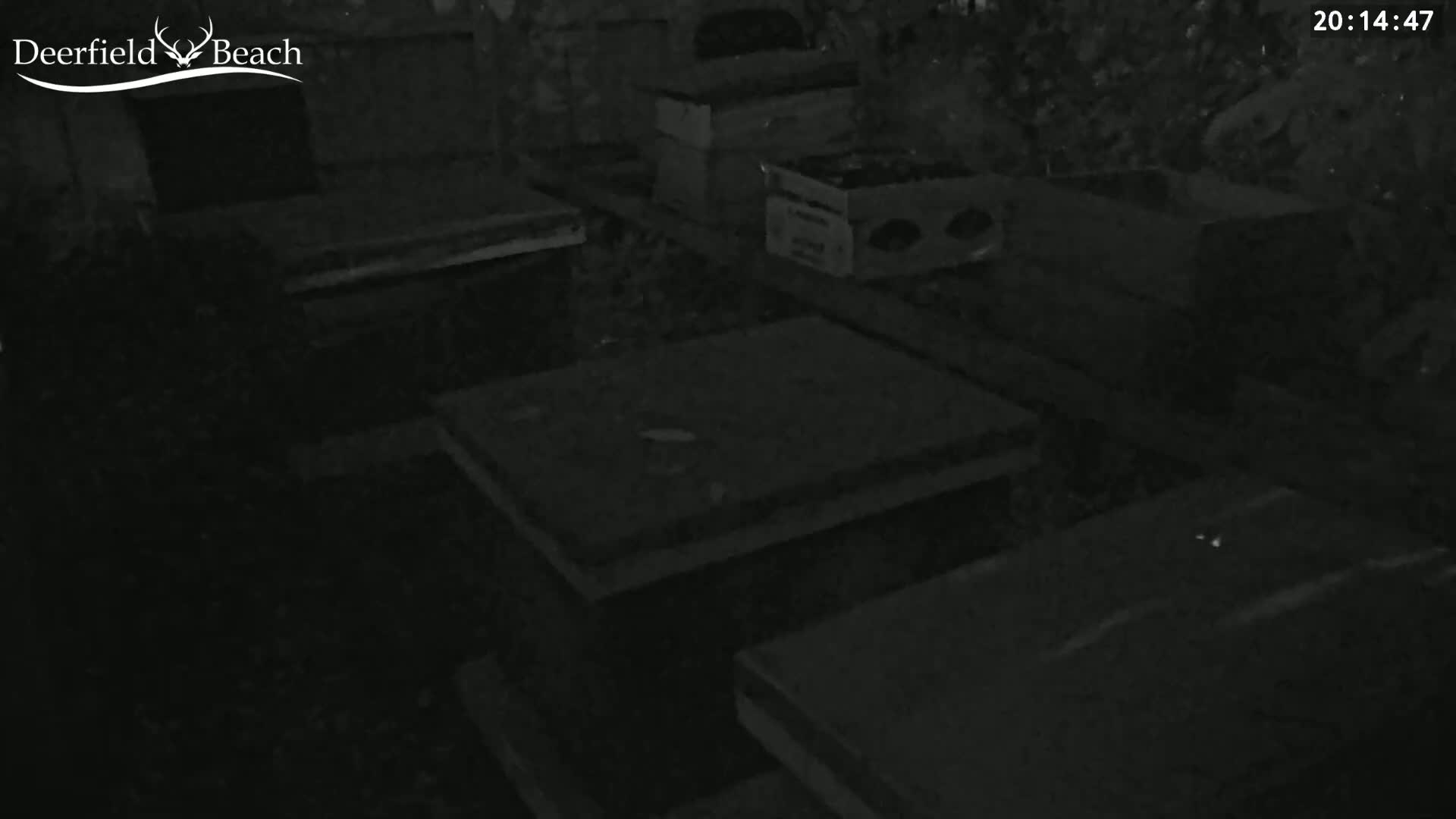 A dark, dimly lit interior space contains several boxes and what appear to be flat, rectangular objects on the floor.