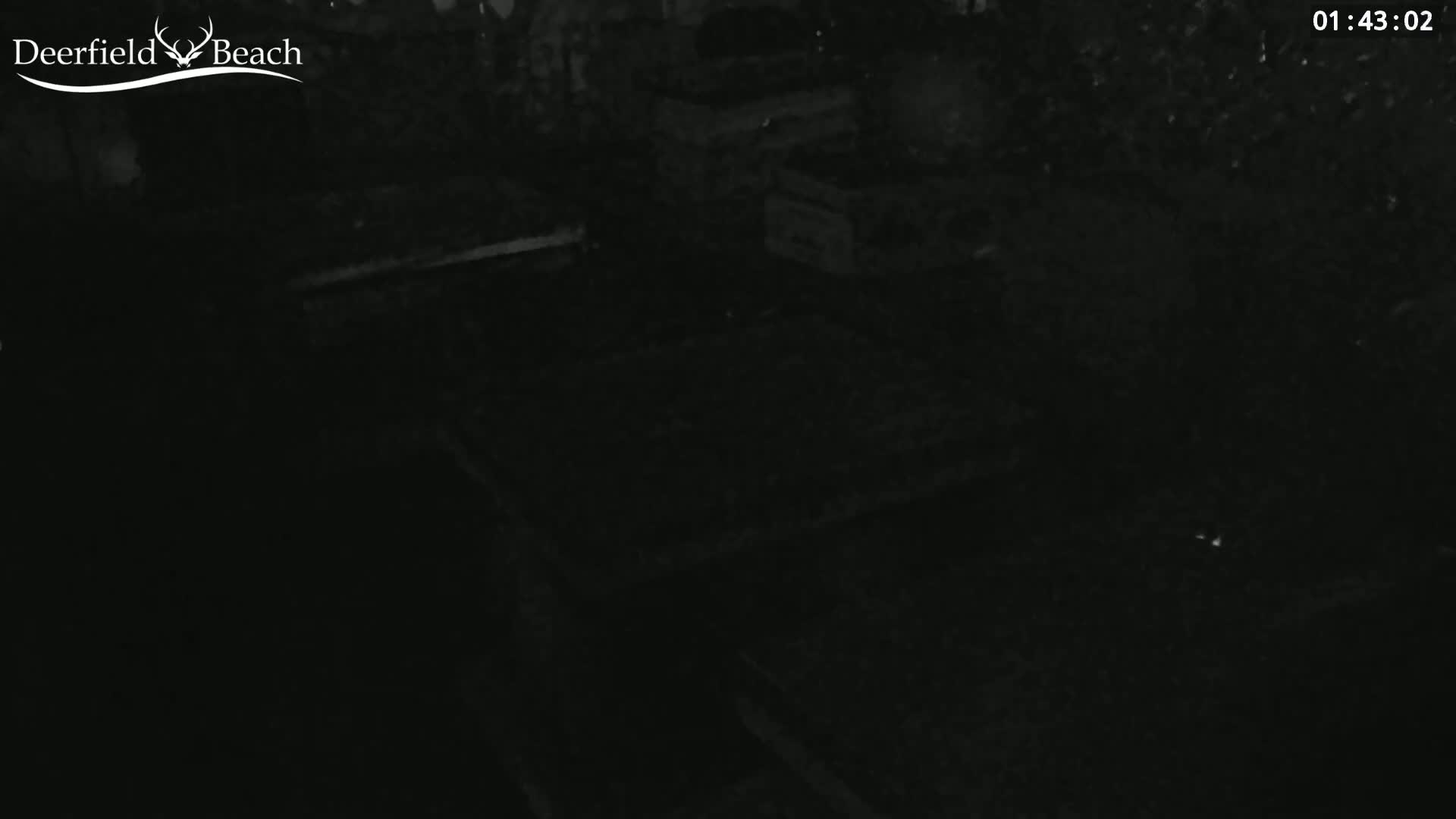 A nighttime, low-light view shows indistinct dark objects that appear to be in an outdoor setting.