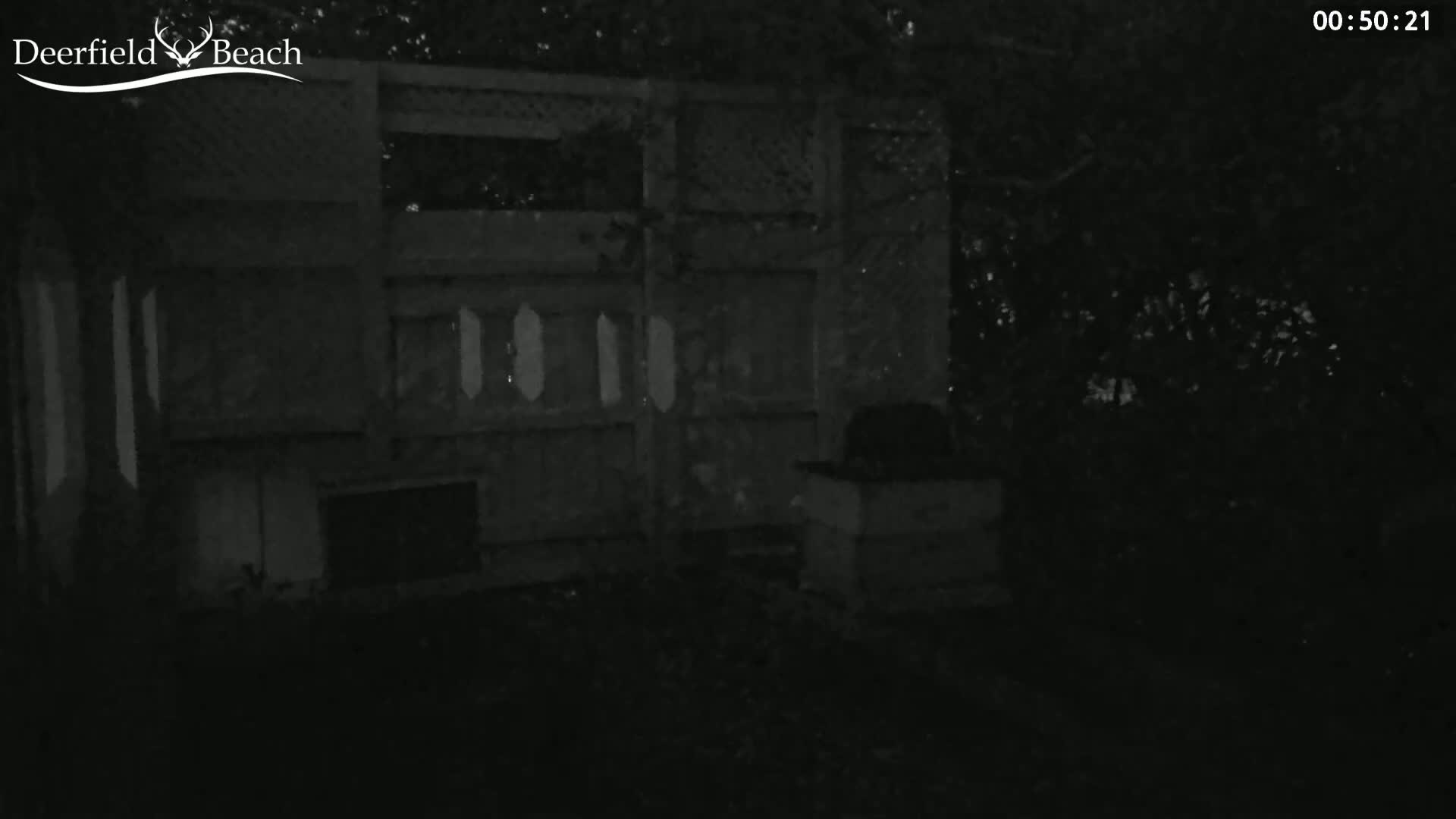 A nighttime, low-light image shows a wooden fence and structure in a backyard, partially obscured by shadows and foliage.