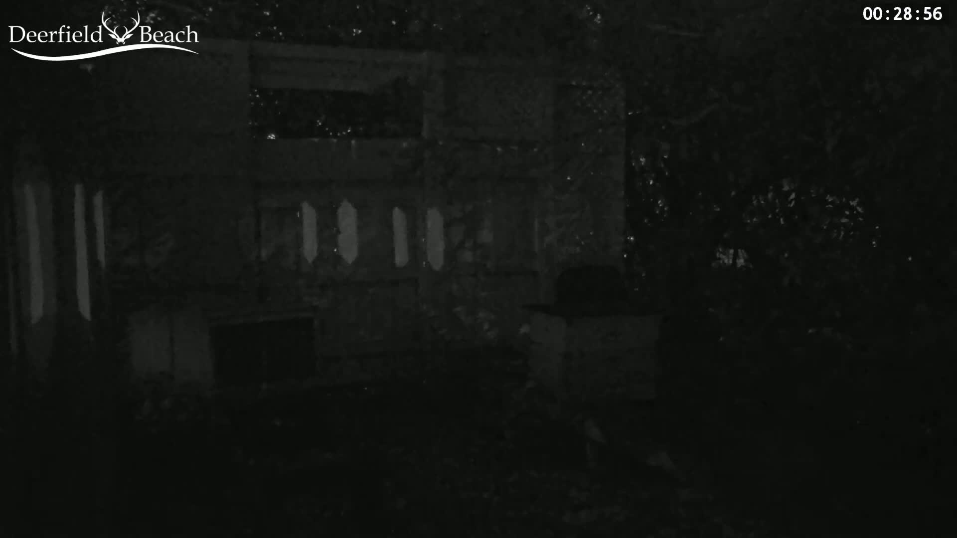 A nighttime, low-light image shows a dark, possibly concrete structure partially obscured by trees and bushes.