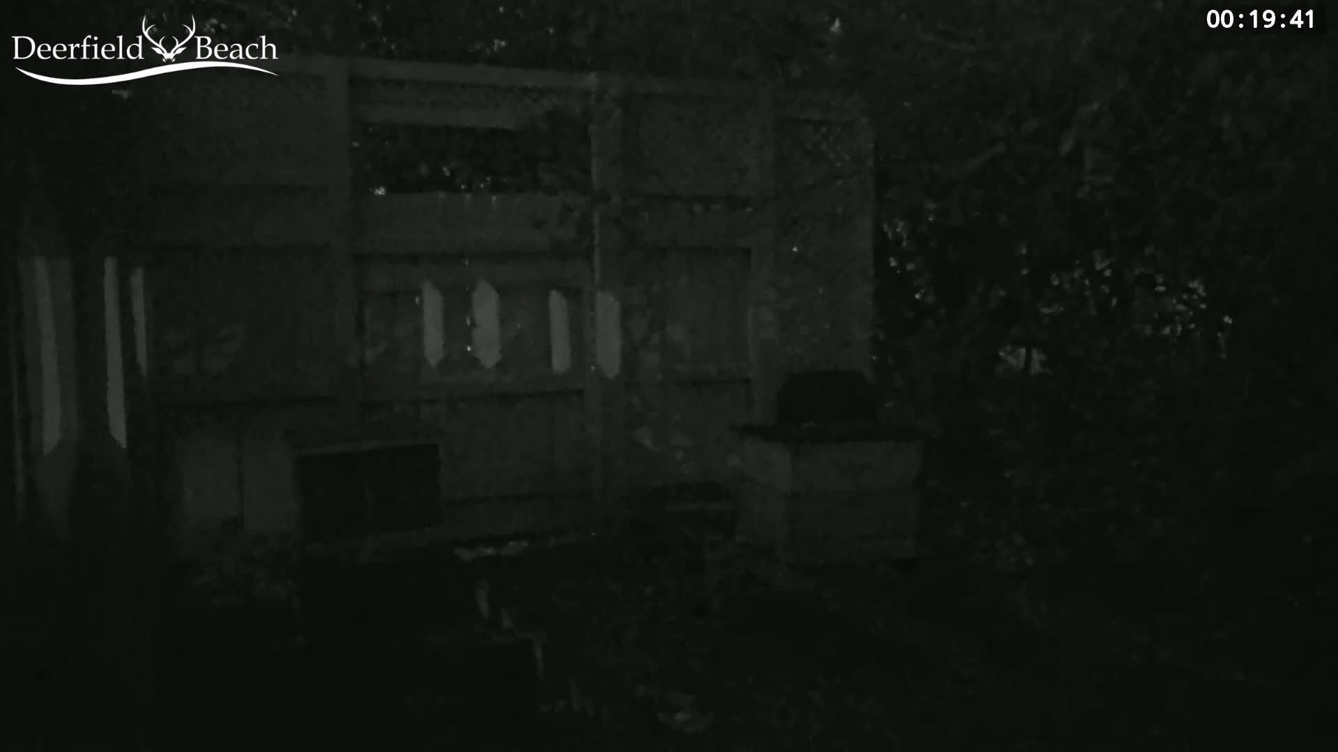 A dark, nighttime image shows a partially visible structure, possibly a shed or outdoor kitchen area, next to some overgrown shrubbery.