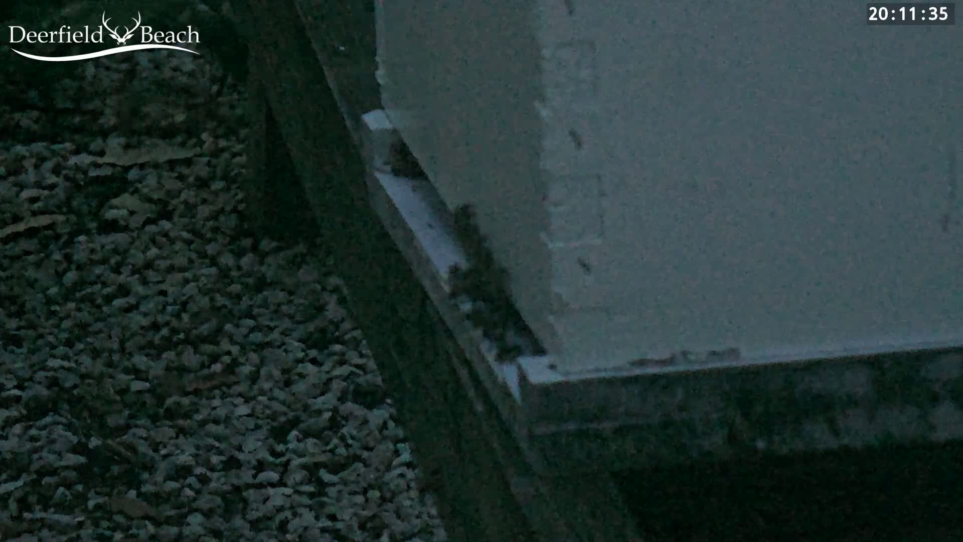 A large, light-colored box sits on dark gray gravel at night.