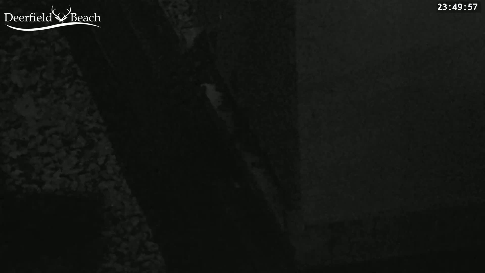 A dark, grainy image shows a mostly obscured, possibly nighttime scene.
