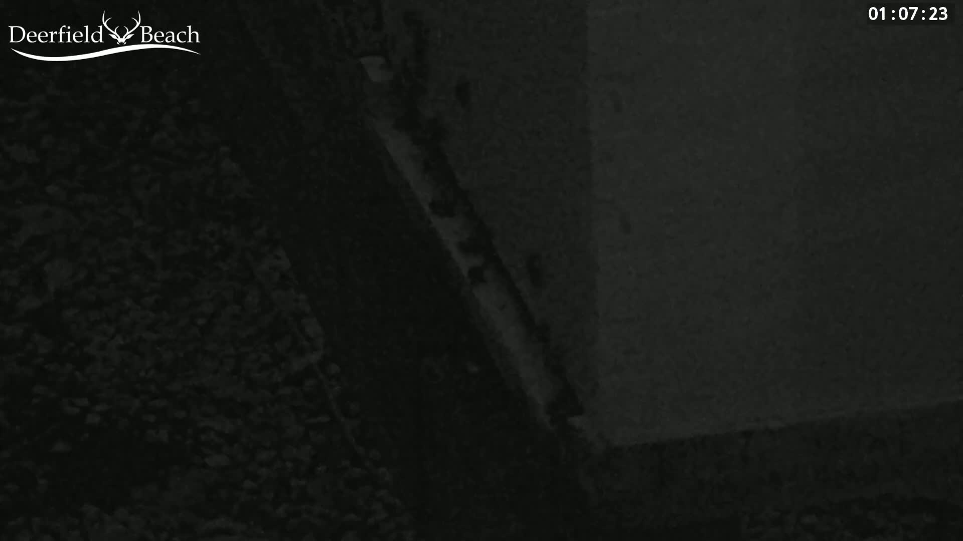 A nighttime low-light image shows a dark gravelly area next to a dark wall.