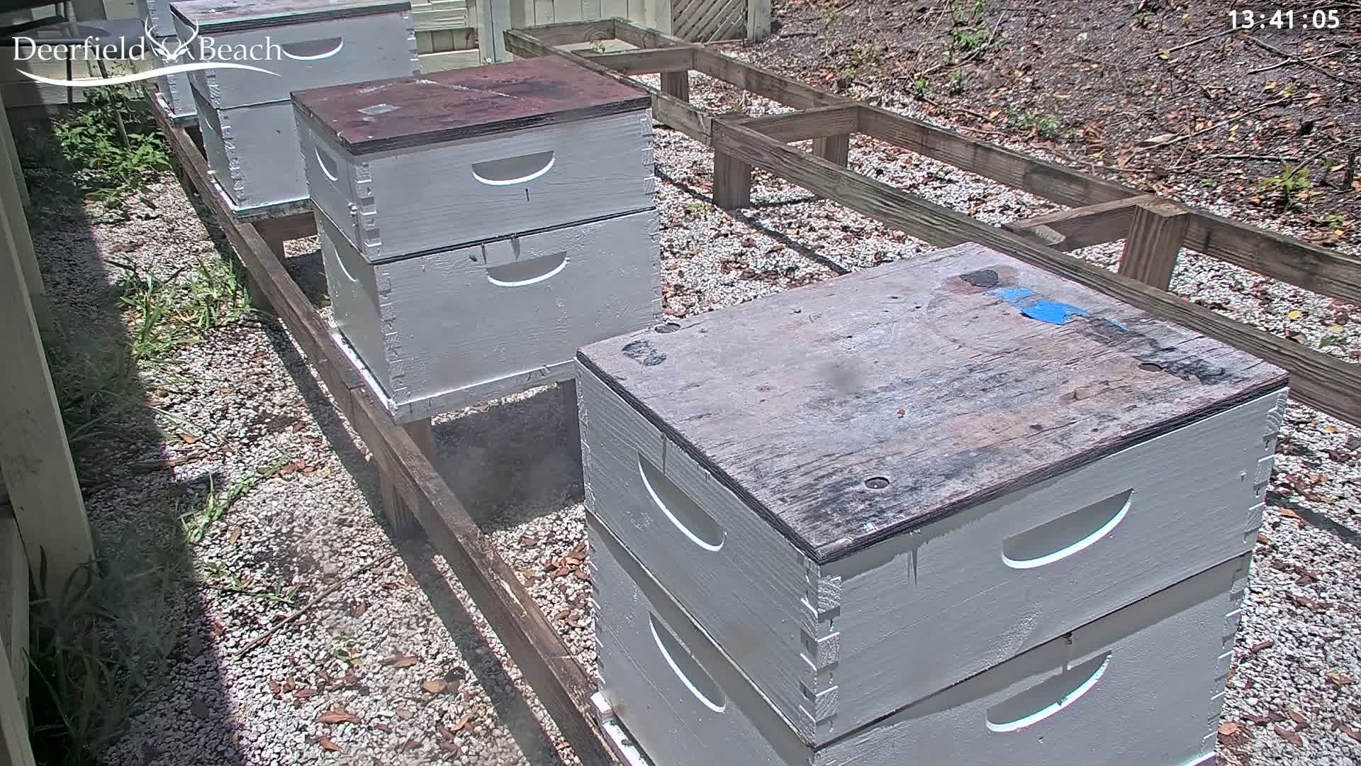 Three stacks of light gray beehives sit on a gravel ground next to a wooden frame, under sunny conditions.