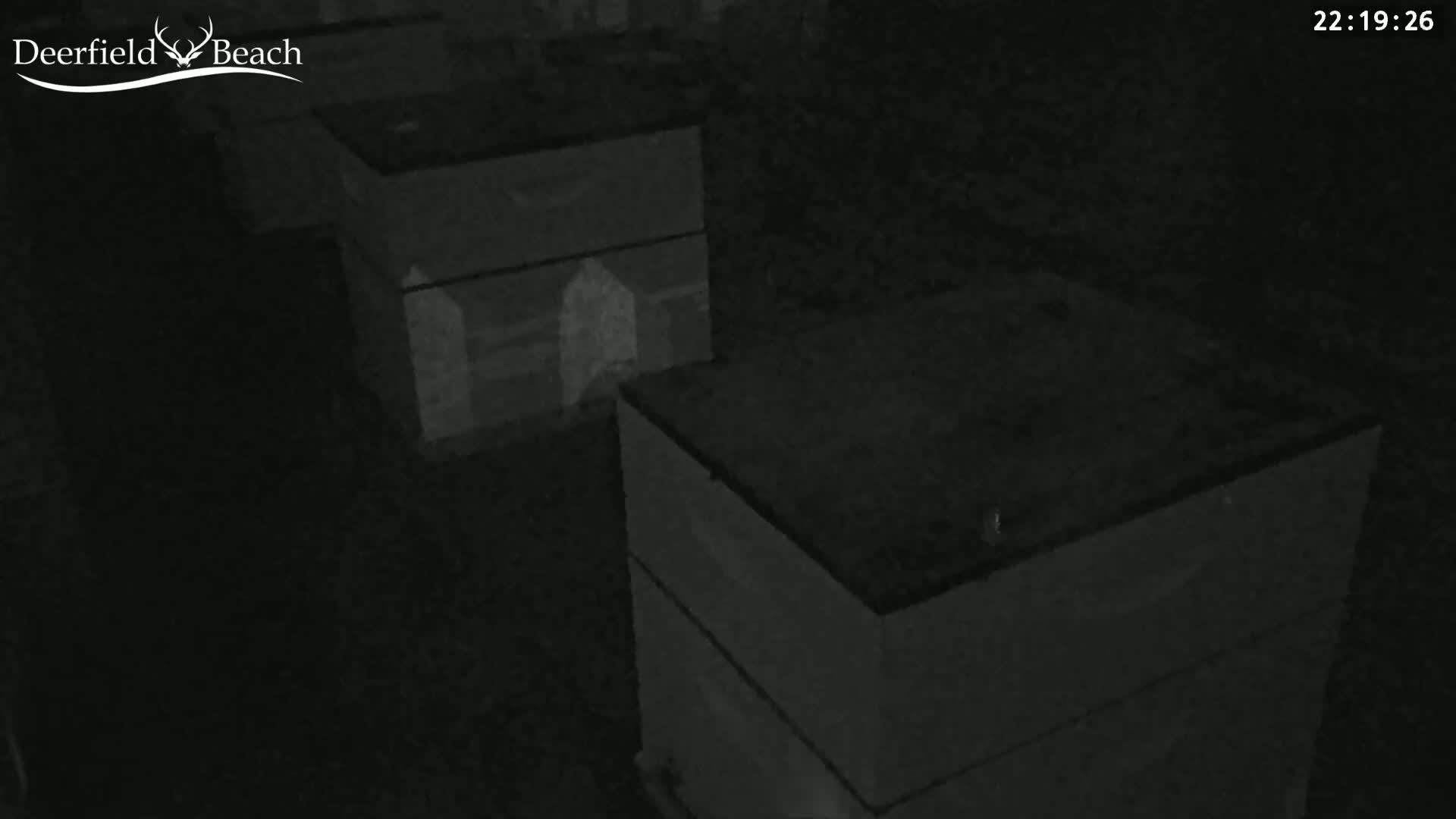 Deerfield Beach City Bee Apiary Farm Live Cam - Deerfield Beach, Broward, Florida, USA