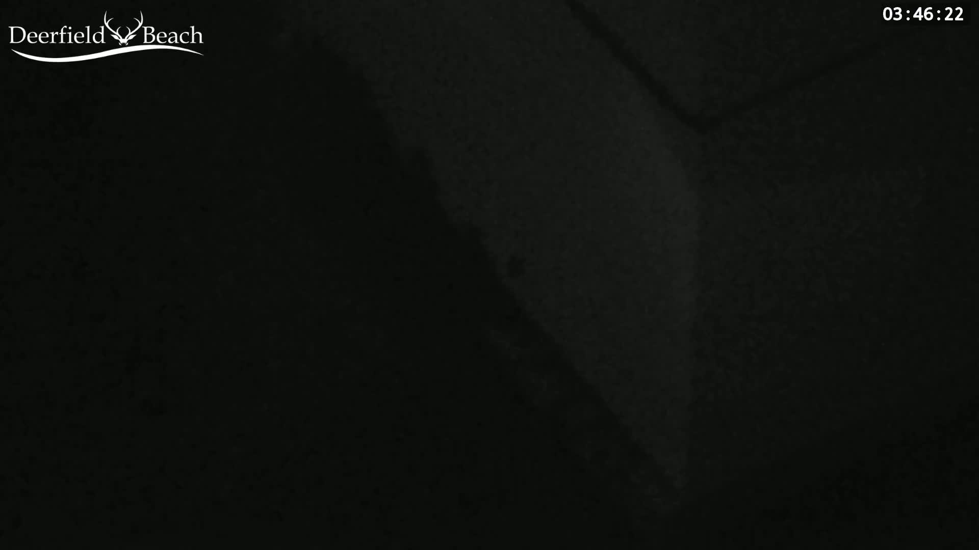 A mostly dark image shows a dimly lit, textured surface.