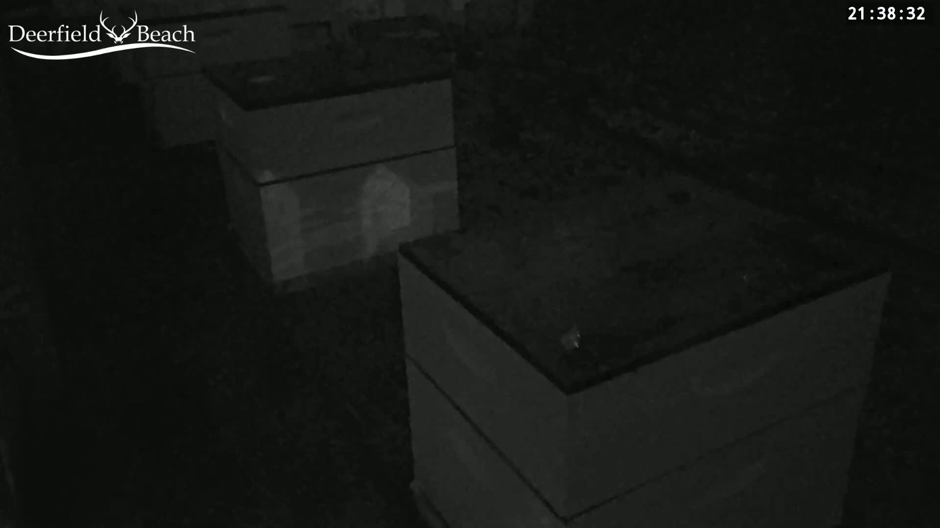 Deerfield Beach City Bee Apiary Farm Live Cam - Deerfield Beach, Broward, Florida, USA