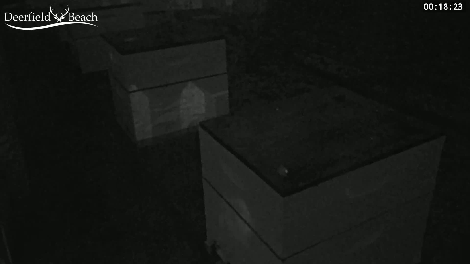 Deerfield Beach City Bee Apiary Farm Live Cam - Deerfield Beach, Broward, Florida, USA