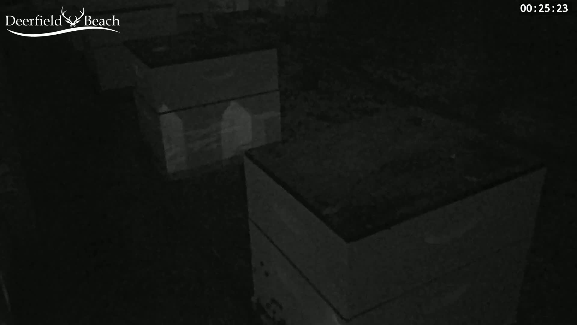 Two dark-colored boxes are situated in a dimly lit, possibly indoor, environment.